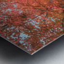 Autumn Surrounds Schlichers Covered Bridge Metal print