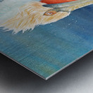A Florida Pelican Metal print