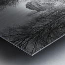 Scenes from the Trail- Forest Walk Through the Scottish Highlands Metal print