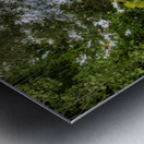the picnic Metal print