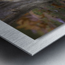 Fall Condo Metal print