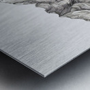 Mount Everest Etch Metal print