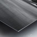 Lilac Bridge Sunrise Black & White Close Up Metal print