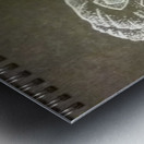 how high_1568752190.5308 Metal print