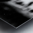 inbound7291777525761737094 Metal print