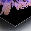 Abstract Daisy on a Dark Background Metal print