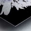 Abstract Daisy Too Metal print