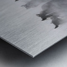 Mustangs Metal print