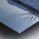 IMG 0110 Metal print