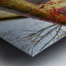 Purple Door Metal print