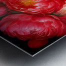 Bouquet of Peonies Metal print