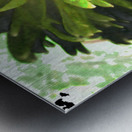 Abstract Vibrant Green Daisy Metal print