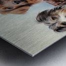 Friends Sitting Nicely Metal print