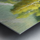 Grove of Aspen Trees Metal print