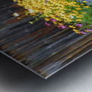 Collingwood Garden in the Rain Metal print