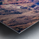 Crater Criter Metal print