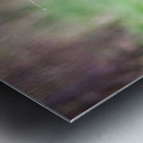 Criquette Metal print