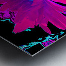 Abstract Neon Contrasting Daises Metal print