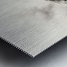 White horse stallion runs gallop over bright background	 Metal print