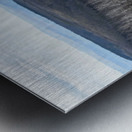 Burned Forest Metal print