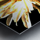 Abstract Daisy Darker Background Metal print