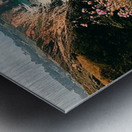 Wildflower Blooming along the Beautiful Coastline Metal print