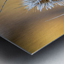 Closeup macro shot of a thistle flower covered by beautiful ice crystals  Metal print