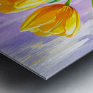 Tulips in a Glass Vase Metal print