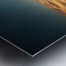 Moonlit Dunes Metal print