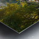 City Park Delight Metal print