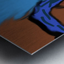 Waterfall  Metal print