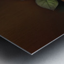 Brandy Chocolates and Roses Metal print