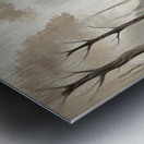 Early Morning Mist  Metal print