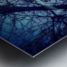 48682265032_ee32617aa9_o Metal print