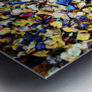 48789048473_b6f61ec829_o Metal print