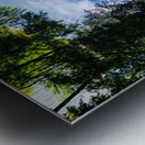 48681753948_12afc046a0_o Metal print