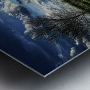 48682266352_1b4896edd5_o Metal print