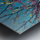 48682265332_b13d55b34c_o Metal print