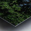 48681752873_fe8571dba2_o Metal print