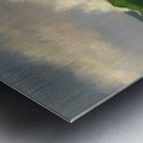 Tempestuous Encounter Metal print