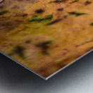 Spotted Autumn Leaf Metal print