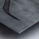 Jessica Albatross Metal print