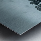 Desolation Metal print