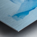 Iceberg Collection  2 Metal print