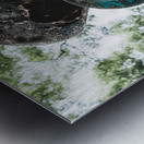 Stop in the Name Metal print