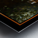 Still Life of Wine Grapes and Apples in a Tranquil Garden Setting Alluring AI Concept Art by Xzendor7 Metal print