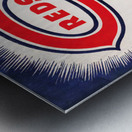 1946 Cincinnati Reds Spring Training Art Metal print