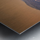 San Francisco Alcatraz Sunrise Birds Metal print