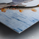 Dinner time  Metal print