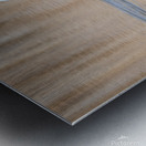 DSC07773 Metal print